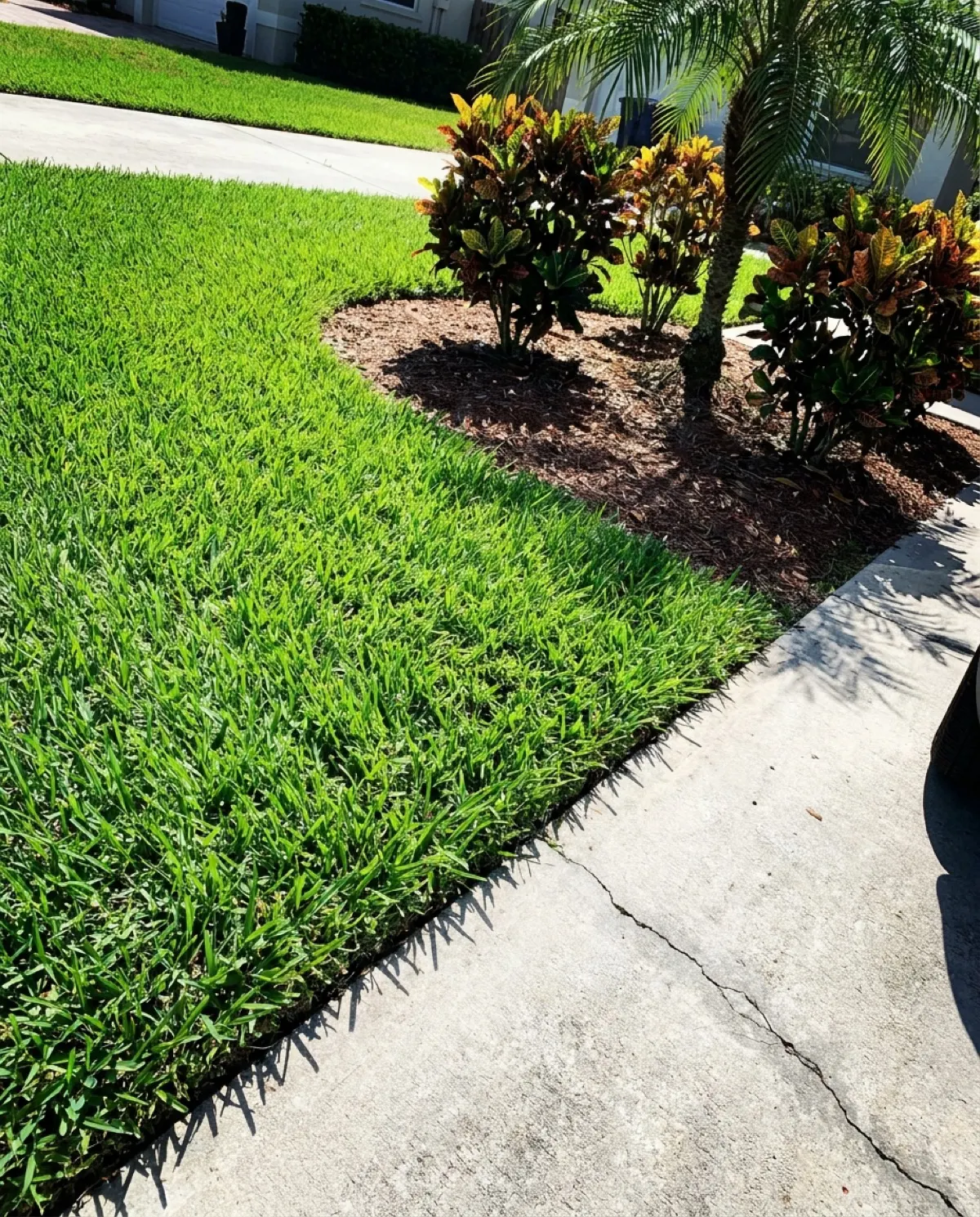Beautifully maintained garden landscaping